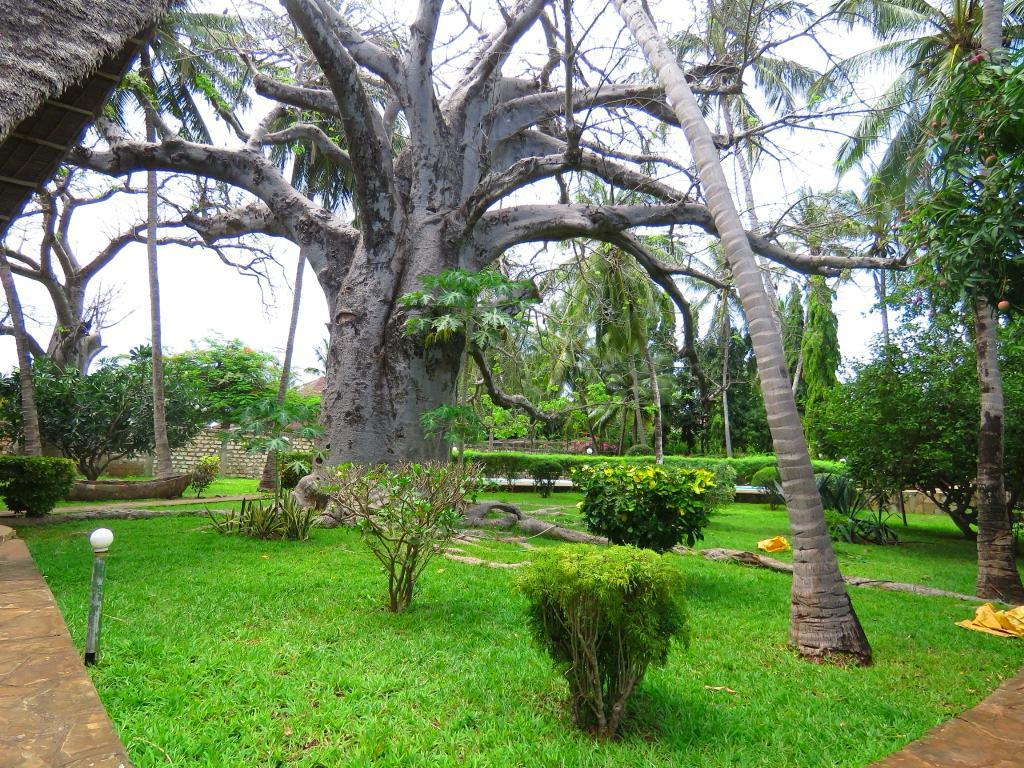 4br for sale in Malindi Frangiani road own compound 1 acre