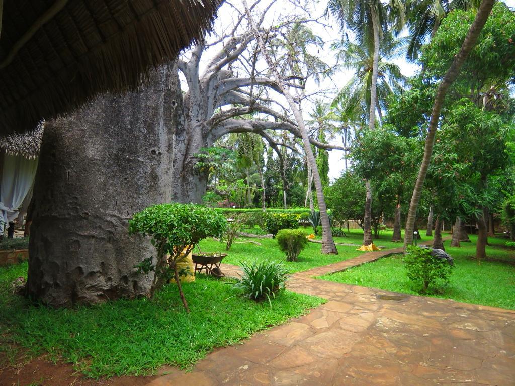 4br for sale in Malindi Frangiani road own compound 1 acre