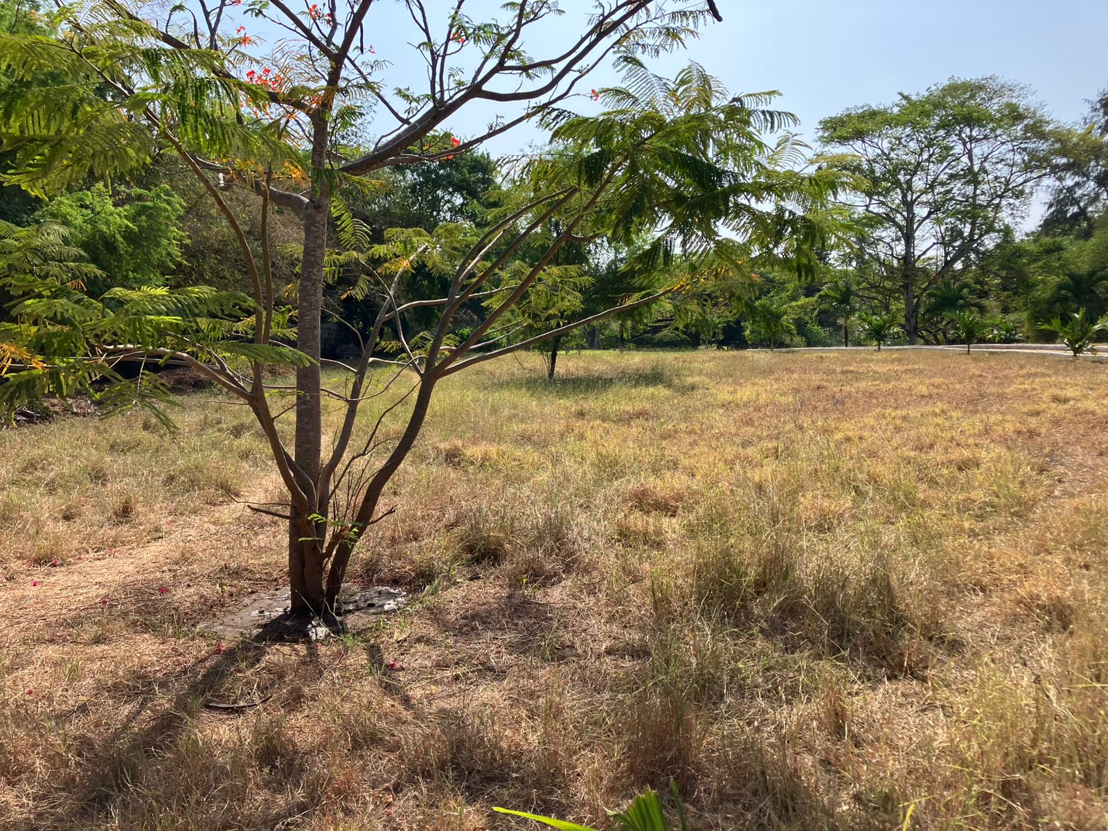 Prime road-front plots for sale in P.K Estate along Lamu Road, ideal for residential and commercial development.