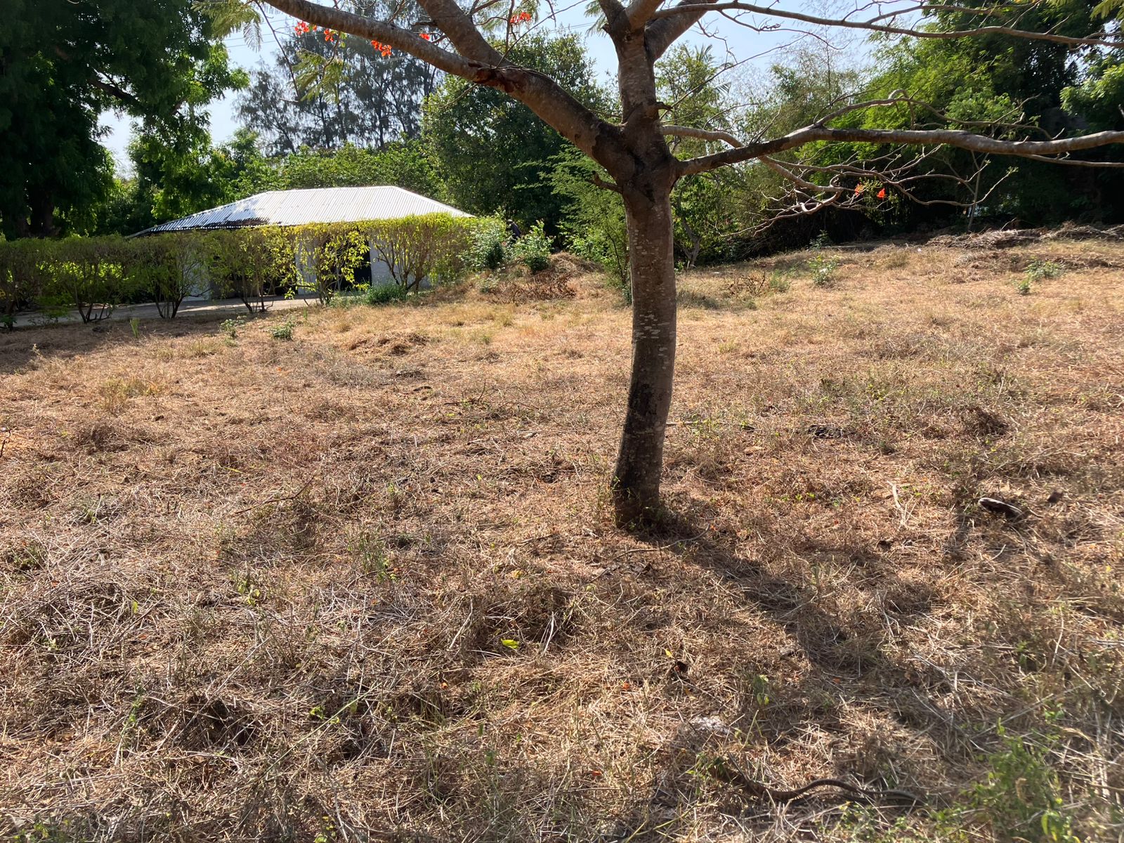 Prime road-front plots for sale in P.K Estate along Lamu Road, ideal for residential and commercial development.