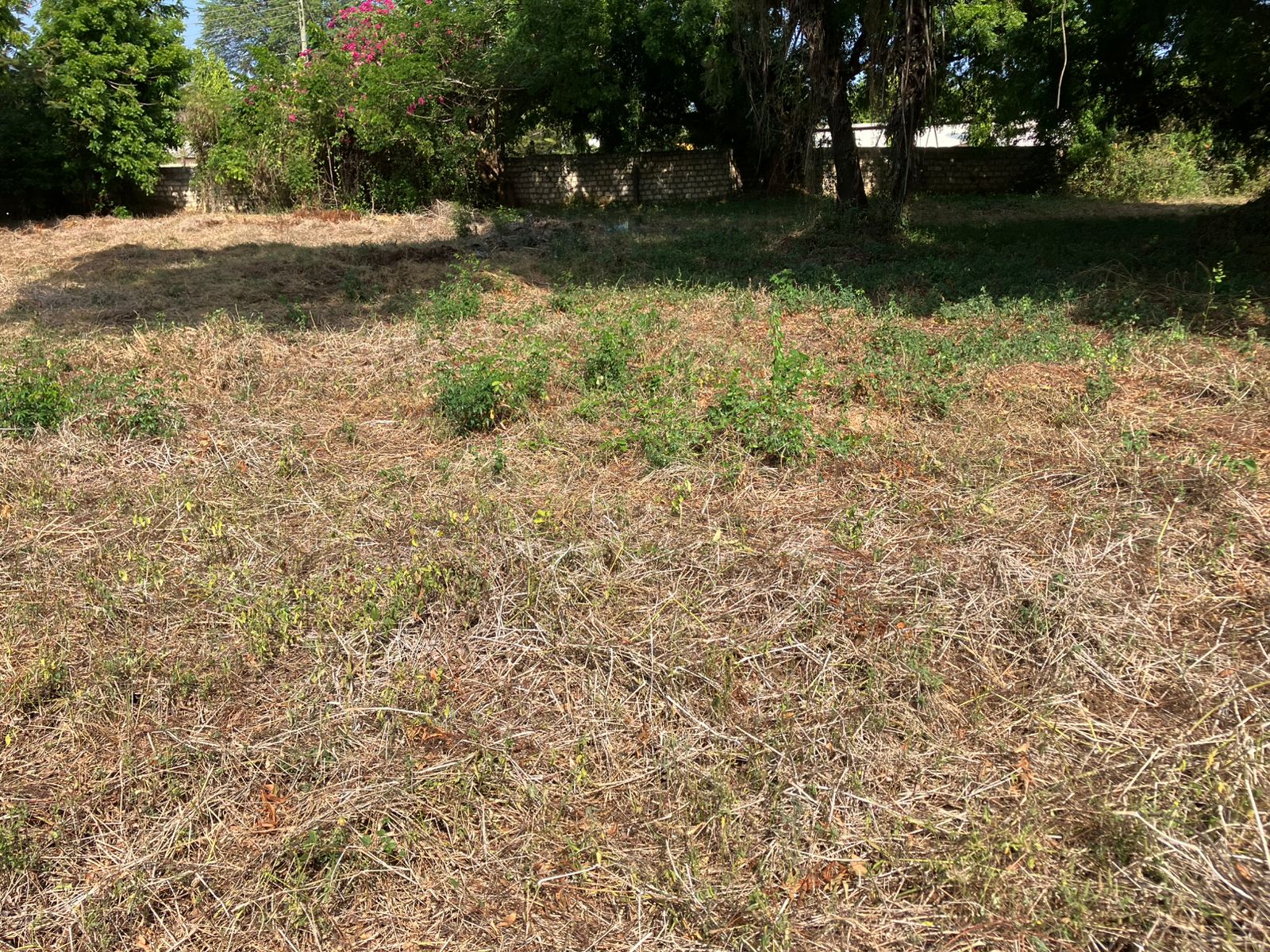Prime road-front plots for sale in P.K Estate along Lamu Road, ideal for residential and commercial development.