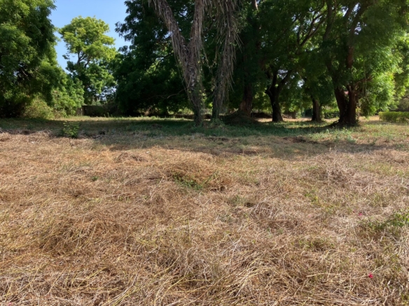 Prime road-front plots for sale in P.K Estate along Lamu Road, ideal for residential and commercial development.