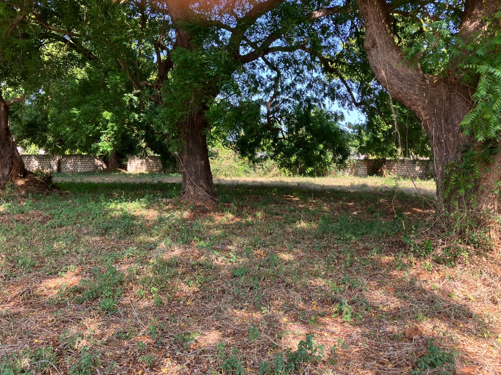 Prime road-front plots for sale in P.K Estate along Lamu Road, ideal for residential and commercial development.