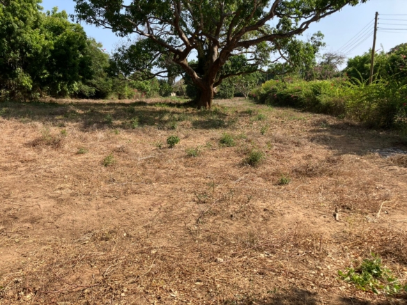 Prime road-front plots for sale in P.K Estate along Lamu Road, ideal for residential and commercial development.