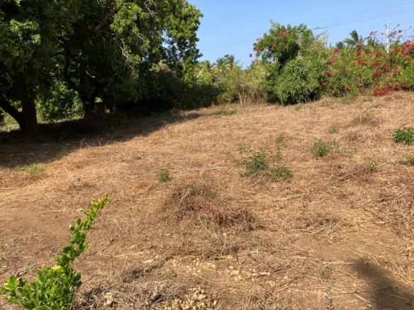 Prime road-front plots for sale in P.K Estate along Lamu Road, ideal for residential and commercial development.