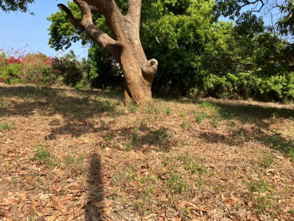 Prime road-front plots for sale in P.K Estate along Lamu Road, ideal for residential and commercial development.