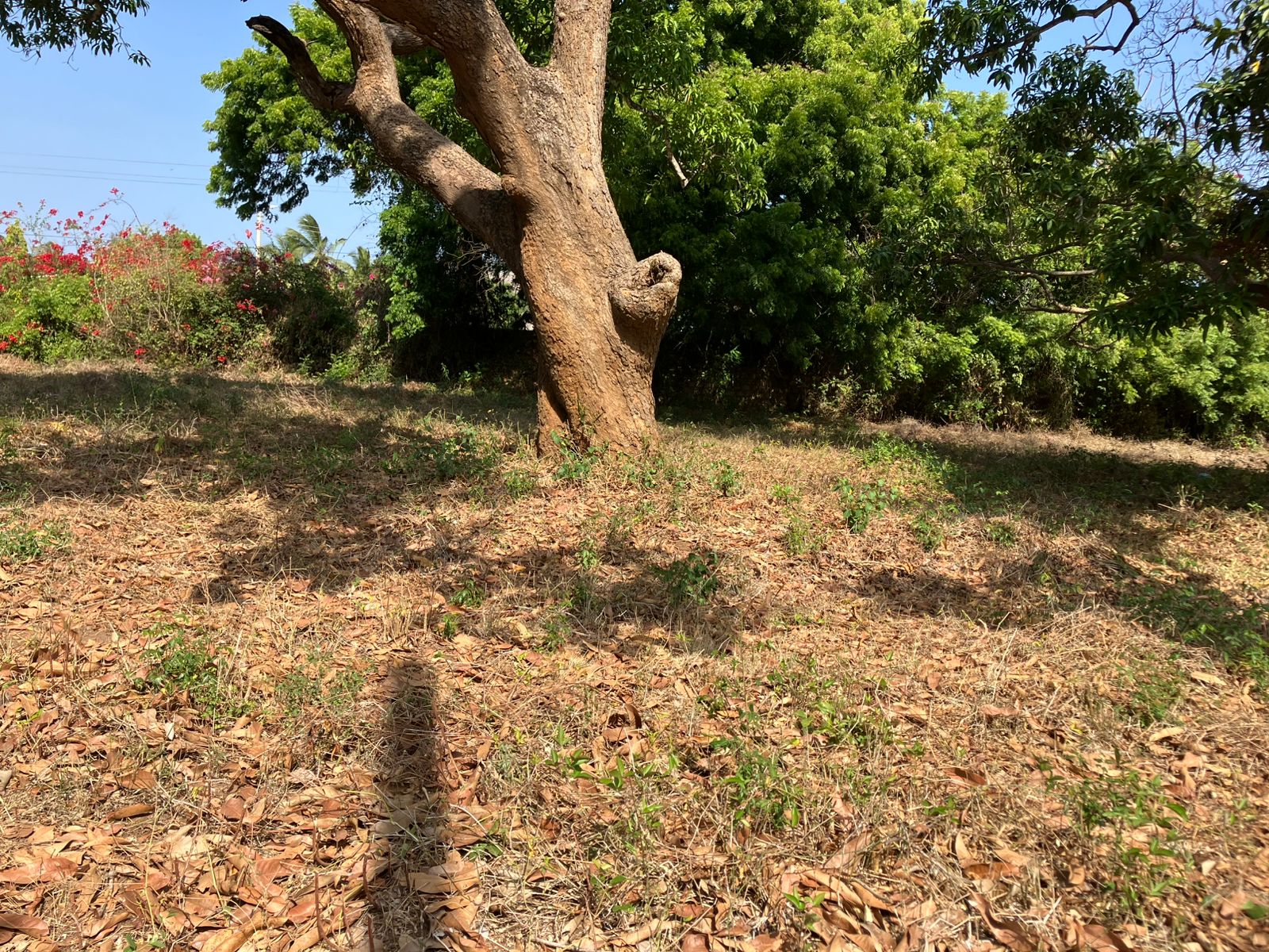 Prime road-front plots for sale in P.K Estate along Lamu Road, ideal for residential and commercial development.