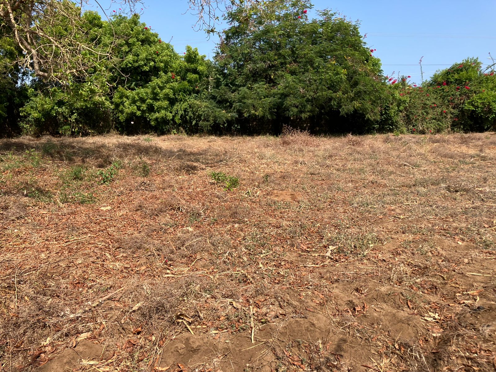 Prime road-front plots for sale in P.K Estate along Lamu Road, ideal for residential and commercial development.