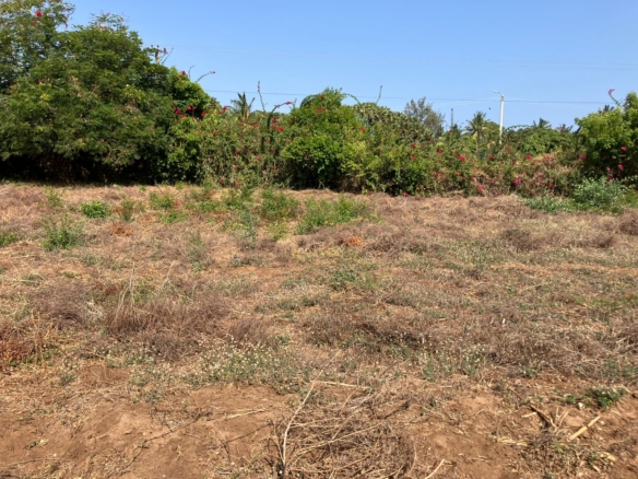 Prime road-front plots for sale in P.K Estate along Lamu Road, ideal for residential and commercial development.