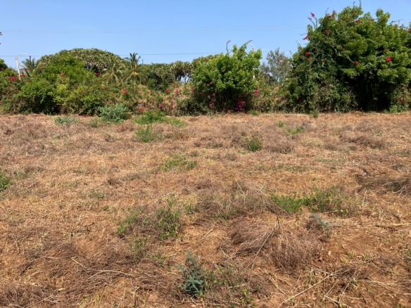 Prime road-front plots for sale in P.K Estate along Lamu Road, ideal for residential and commercial development.