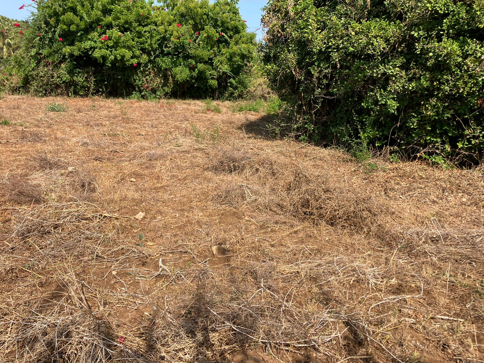 Prime road-front plots for sale in P.K Estate along Lamu Road, ideal for residential and commercial development.