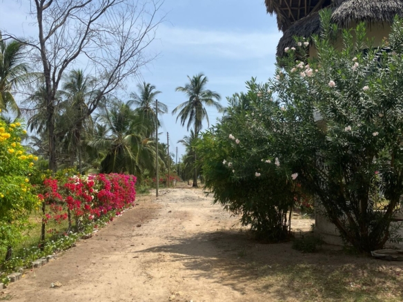 Luxury 3-bedroom en-suite villas for sale and rent in Che Shale Bay, Kenya’s prime coastal destination.
