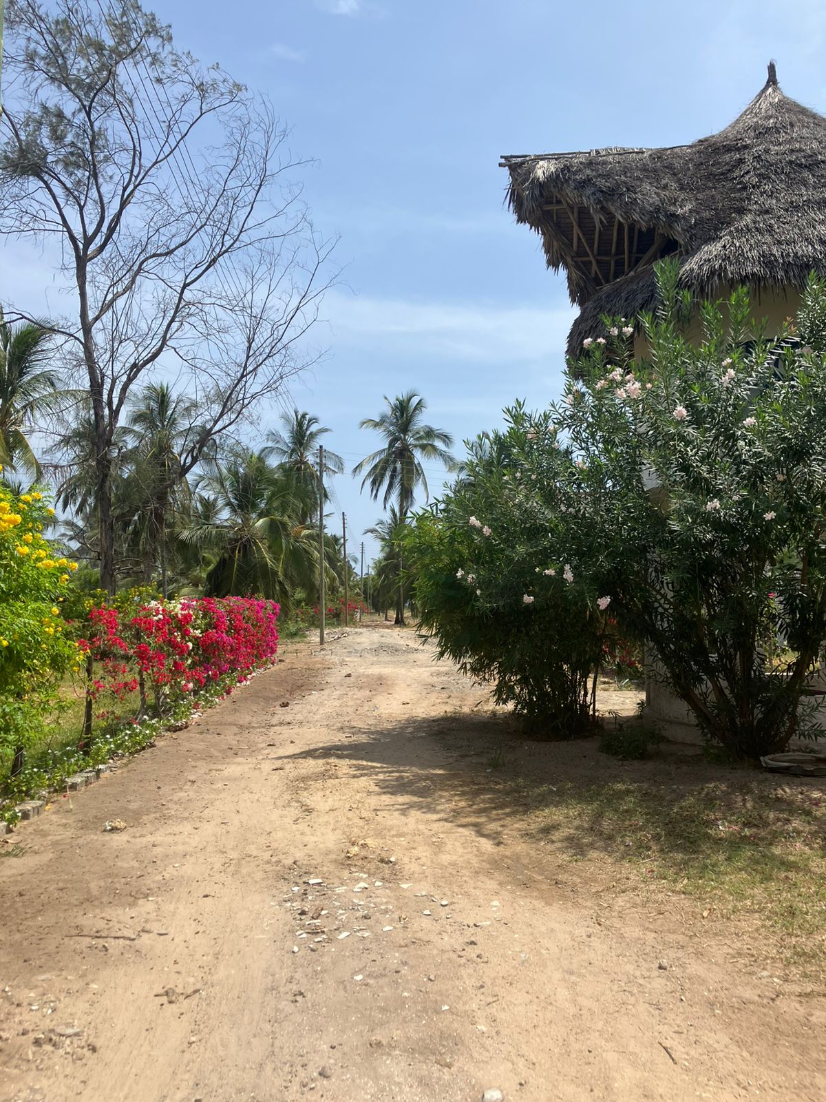 Luxury 3-bedroom en-suite villas for sale and rent in Che Shale Bay, Kenya’s prime coastal destination.