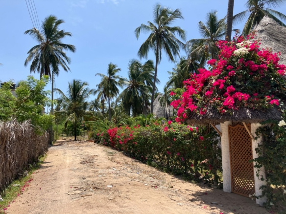 Beachfront Plots for sale flexible payments Malindi