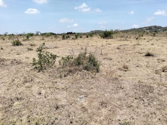 Five-acre land for sale near Daystar University in Lukenya with ready title deed, ideal for development.