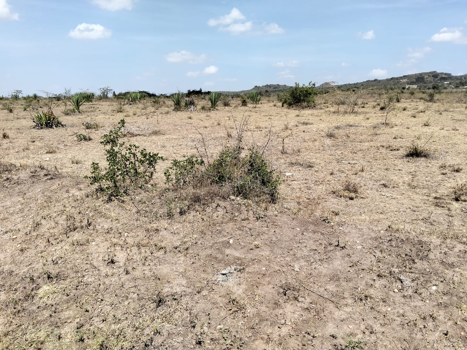 Five-acre land for sale near Daystar University in Lukenya with ready title deed, ideal for development.