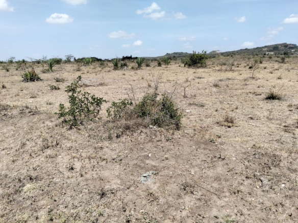 Five-acre land for sale near Daystar University in Lukenya with ready title deed, ideal for development.