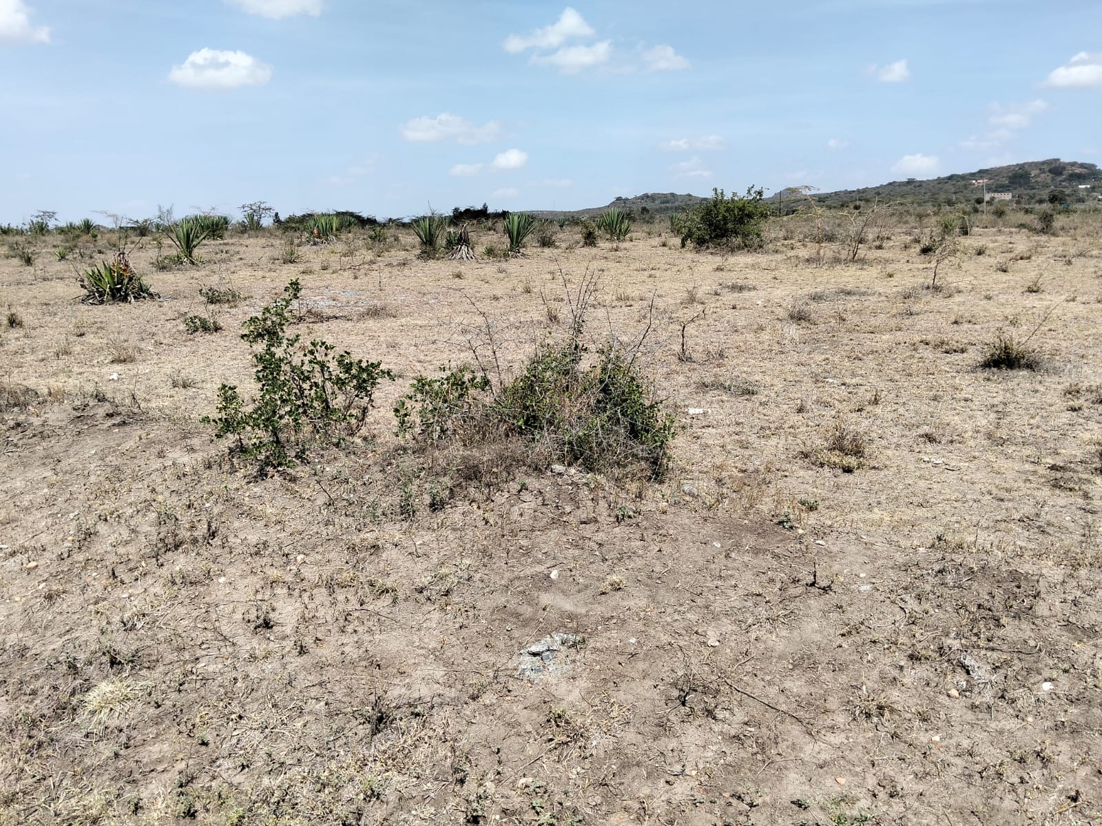 Five-acre land for sale near Daystar University in Lukenya with ready title deed, ideal for development.