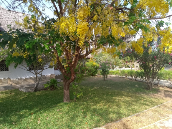 4 br for rent in Malindi Kibokoni Residence