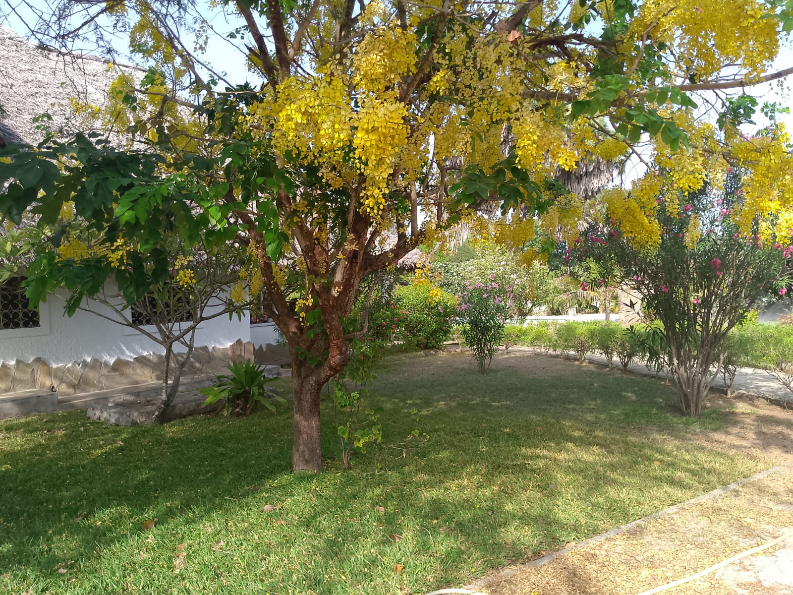 4 br for rent in Malindi Kibokoni Residence