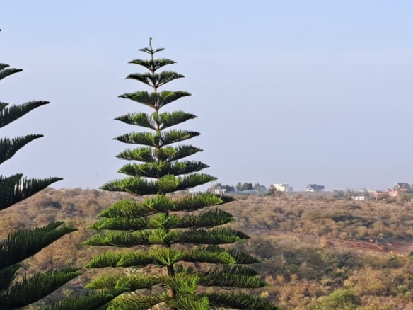 Seven-acre land for sale near Daystar University in Athi River with strong capital appreciation potential.