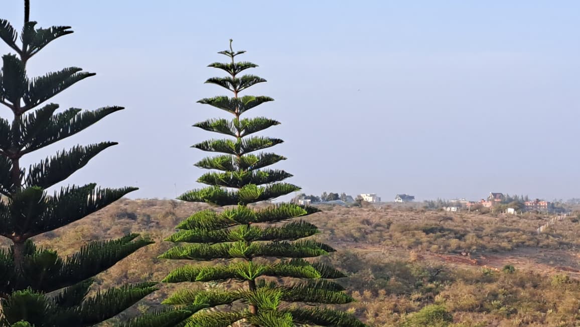 Seven-acre land for sale near Daystar University in Athi River with strong capital appreciation potential.