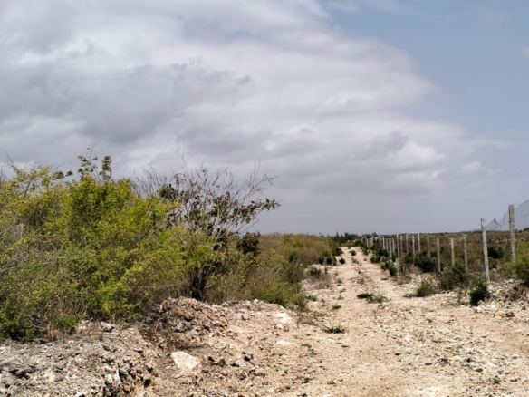 13 Acres for sale in Watamu, Jacaranda