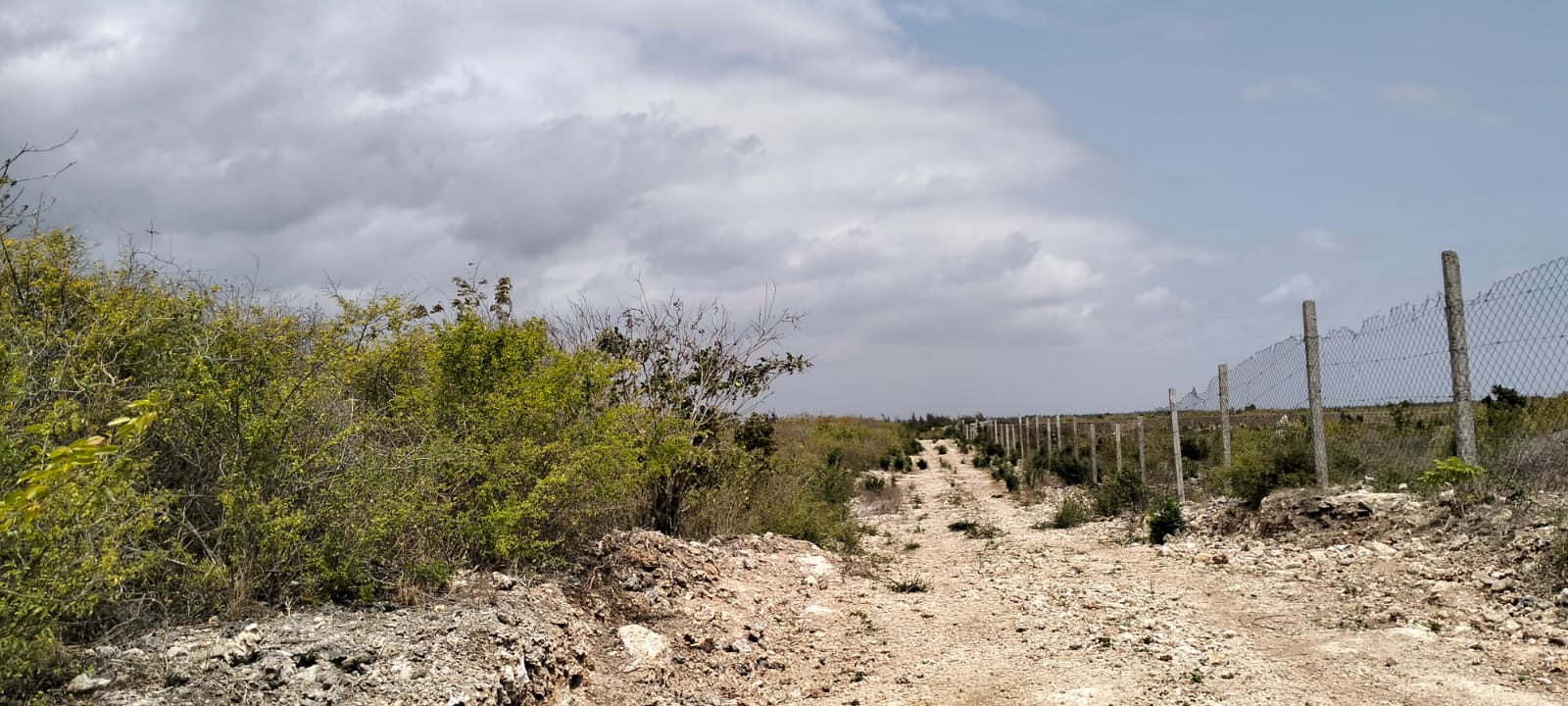 13 Acres for sale in Watamu, Jacaranda