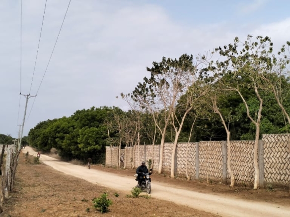 One-acre freehold plots for sale in Kizingo, watamu with red soil, flat land, and on-site utilities.