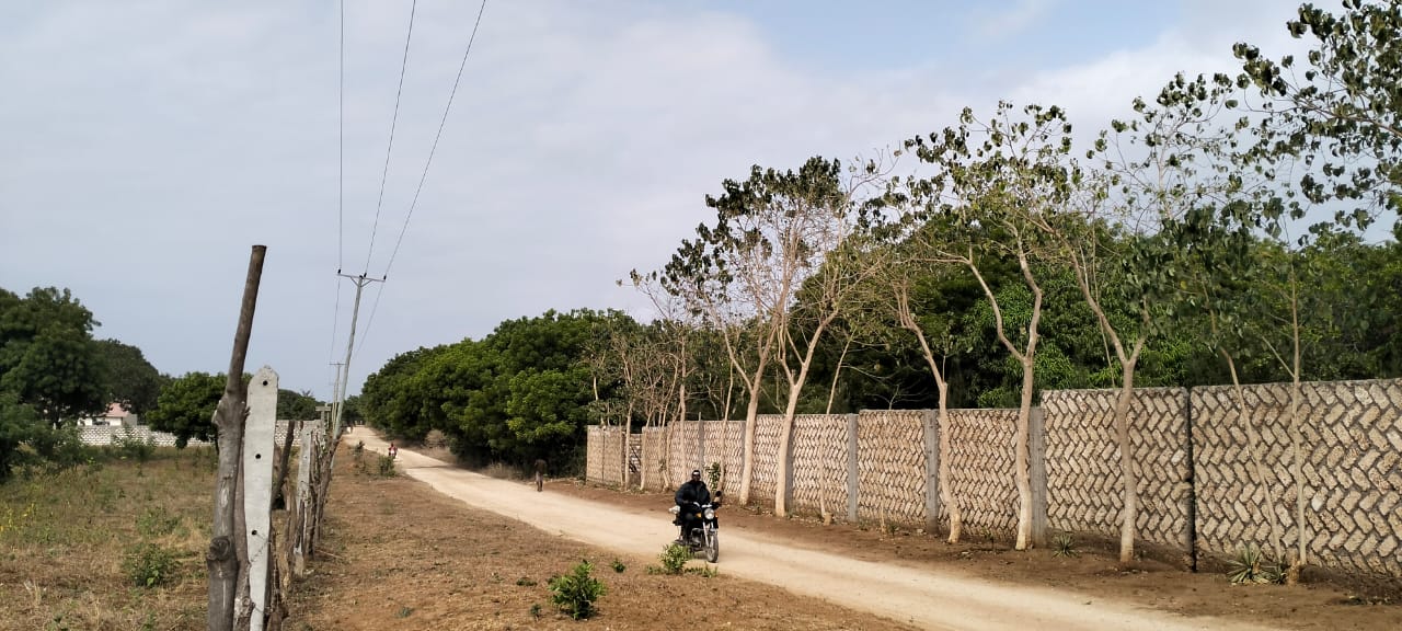 One-acre freehold plots for sale in Kizingo, watamu with red soil, flat land, and on-site utilities.