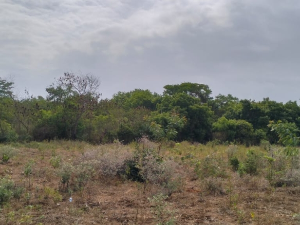One-acre freehold plots for sale in Kizingo, watamu with red soil, flat land, and on-site utilities.