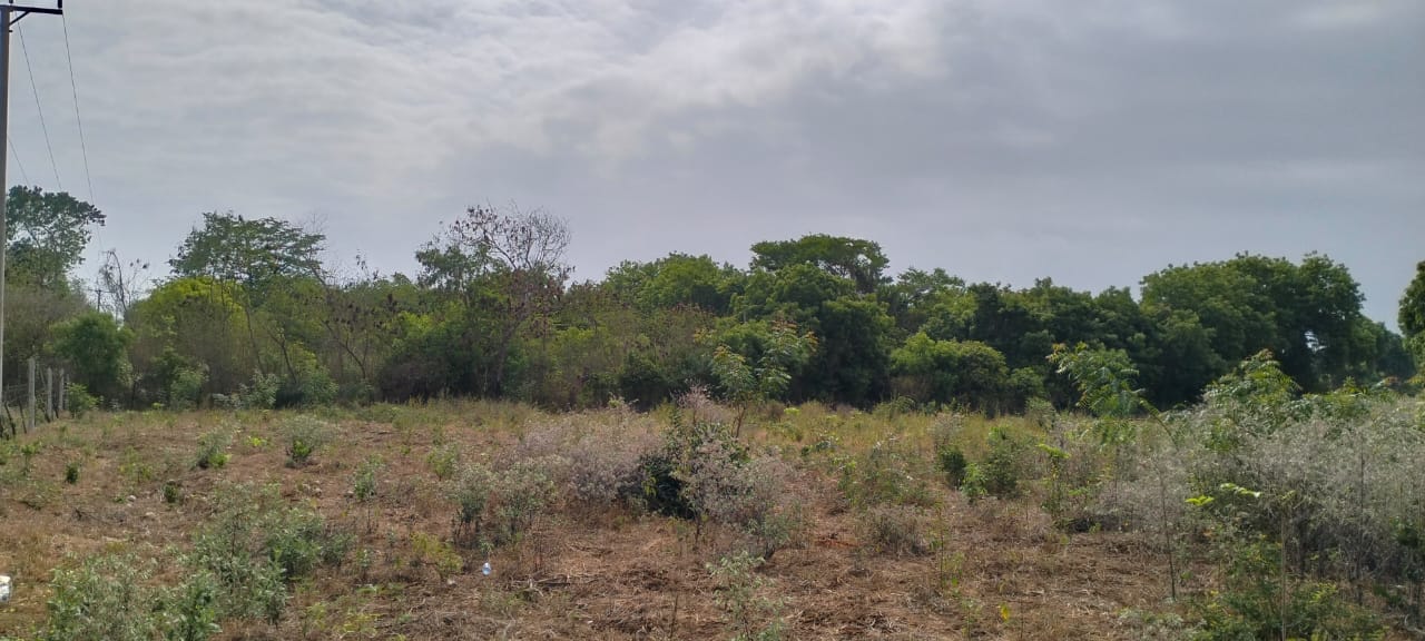 One-acre freehold plots for sale in Kizingo, watamu with red soil, flat land, and on-site utilities.