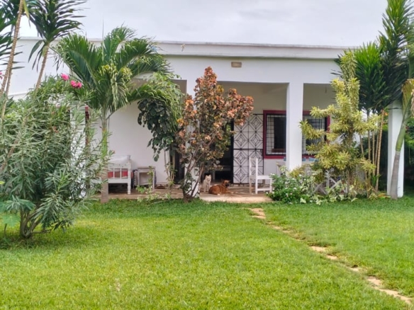 2-bedroom standalone villa on an eighth-acre plot for sale off Casuarina Road, featuring solid construction, serene surroundings, and expansion potential.