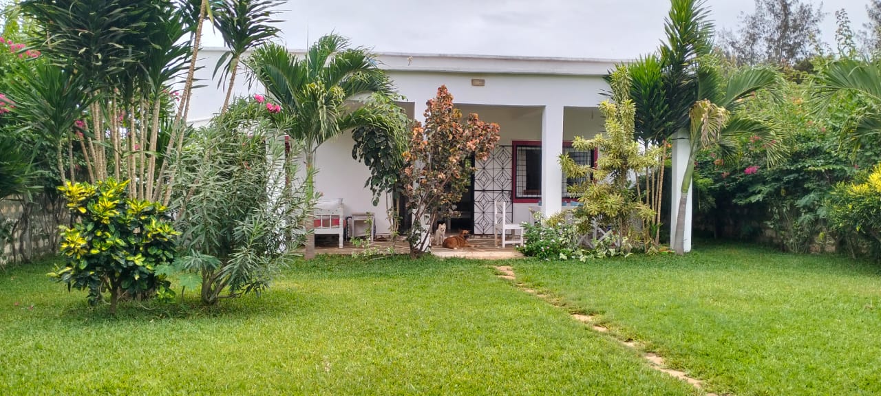 2-bedroom standalone villa on an eighth-acre plot for sale off Casuarina Road, featuring solid construction, serene surroundings, and expansion potential.