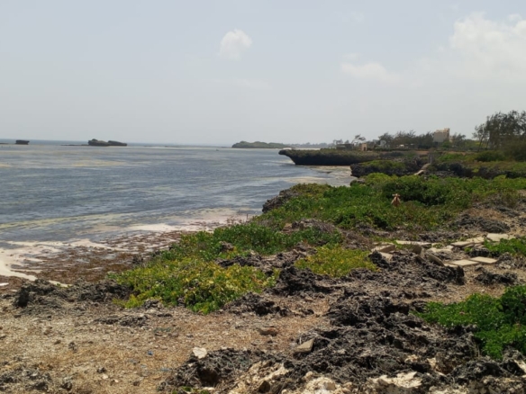 One-acre oceanfront cliff land for sale in Watamu featuring panoramic Indian Ocean views, prime location, and luxury development potential.