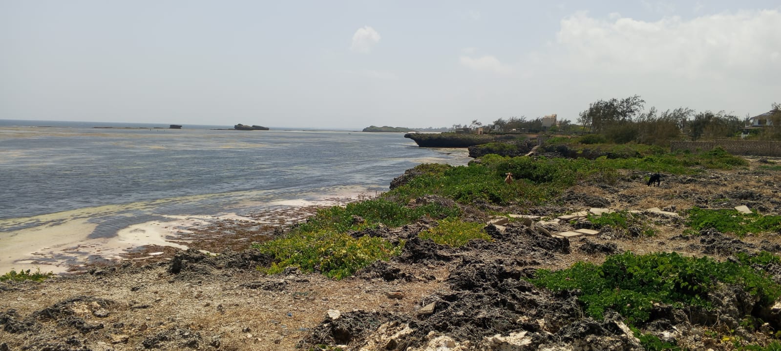 One-acre oceanfront cliff land for sale in Watamu featuring panoramic Indian Ocean views, prime location, and luxury development potential.