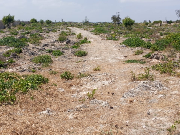 One-acre oceanfront cliff land for sale in Watamu featuring panoramic Indian Ocean views, prime location, and luxury development potential.