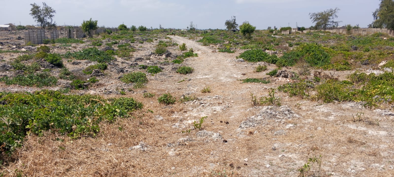 One-acre oceanfront cliff land for sale in Watamu featuring panoramic Indian Ocean views, prime location, and luxury development potential.