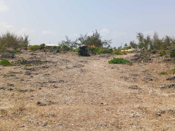 One-acre oceanfront cliff land for sale in Watamu featuring panoramic Indian Ocean views, prime location, and luxury development potential.