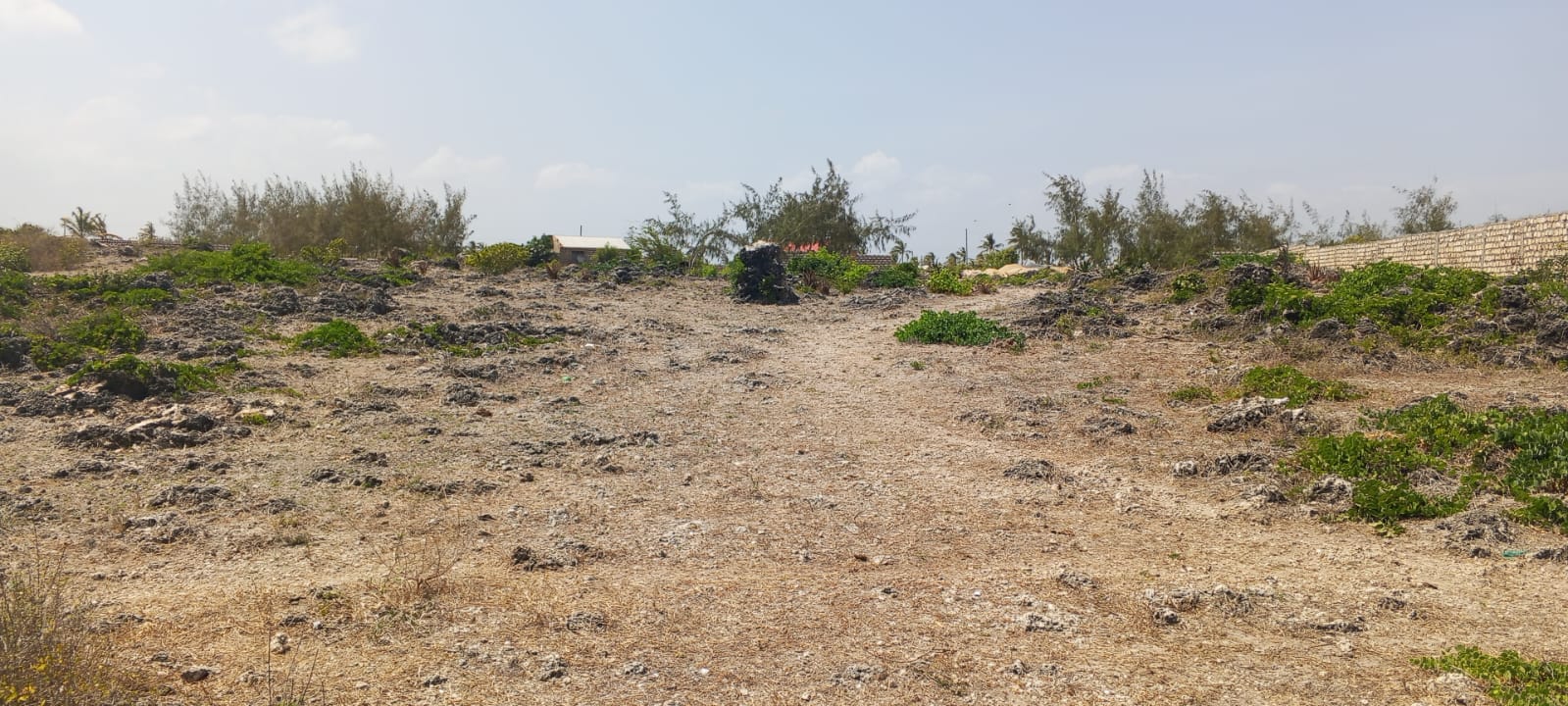 One-acre oceanfront cliff land for sale in Watamu featuring panoramic Indian Ocean views, prime location, and luxury development potential.