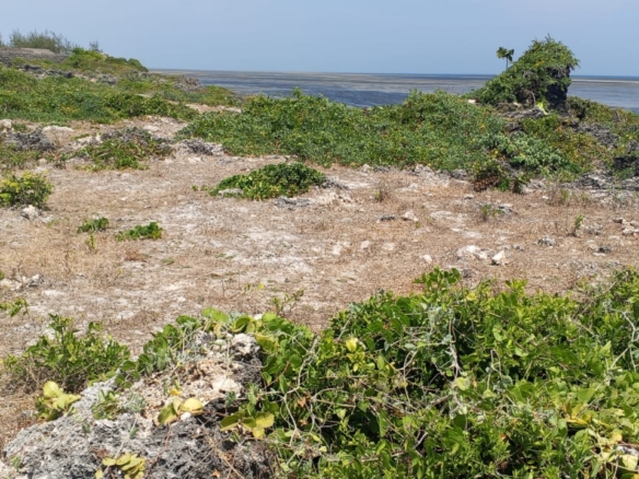One-acre oceanfront cliff land for sale in Watamu featuring panoramic Indian Ocean views, prime location, and luxury development potential.