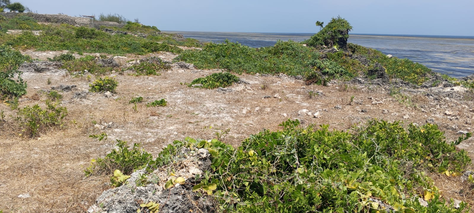 One-acre oceanfront cliff land for sale in Watamu featuring panoramic Indian Ocean views, prime location, and luxury development potential.