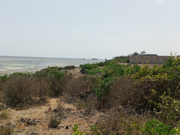 One-acre oceanfront cliff land for sale in Watamu featuring panoramic Indian Ocean views, prime location, and luxury development potential.