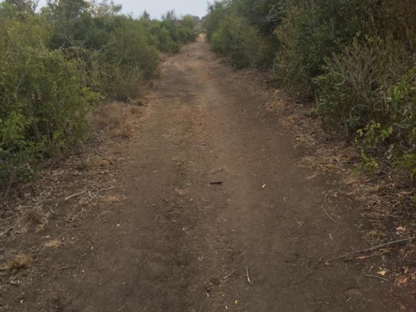 5 Acres for sale in Marereni