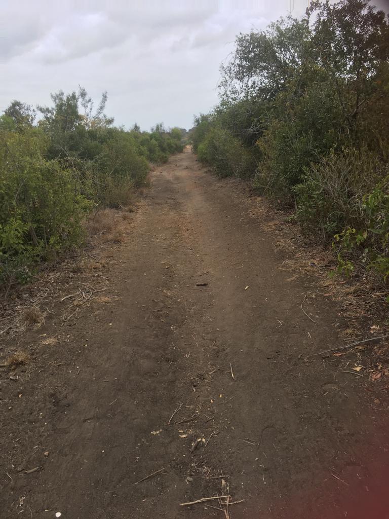 5 Acres for sale in Marereni