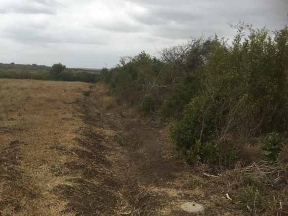 5 Acres for sale in Marereni