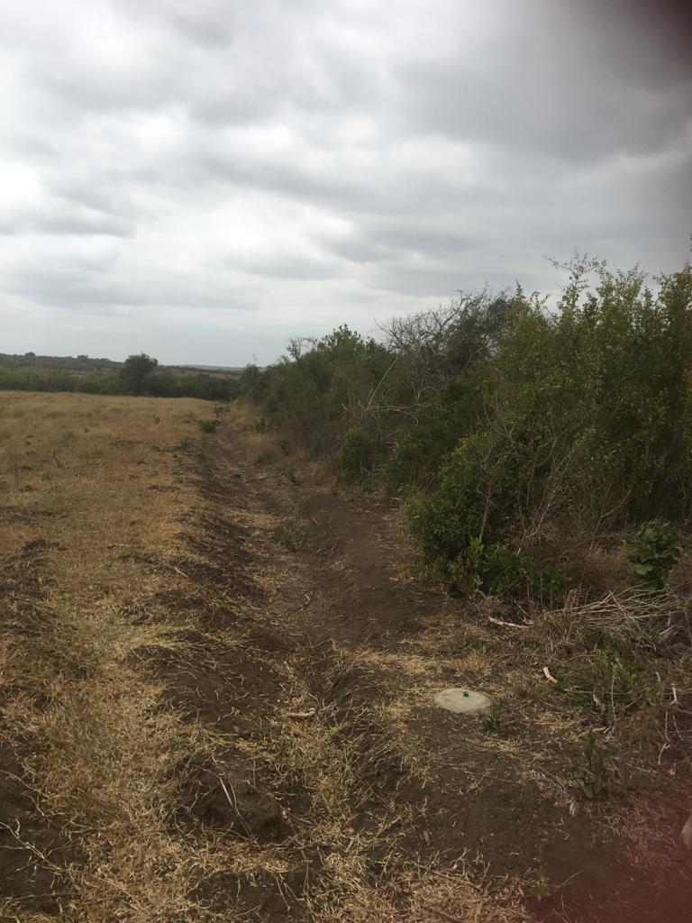 5 Acres for sale in Marereni