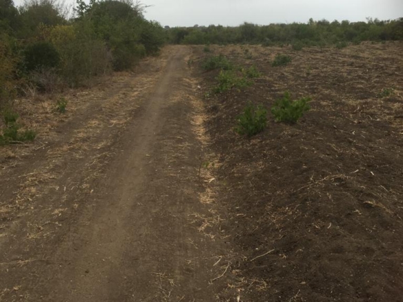 5 Acres for sale in Marereni