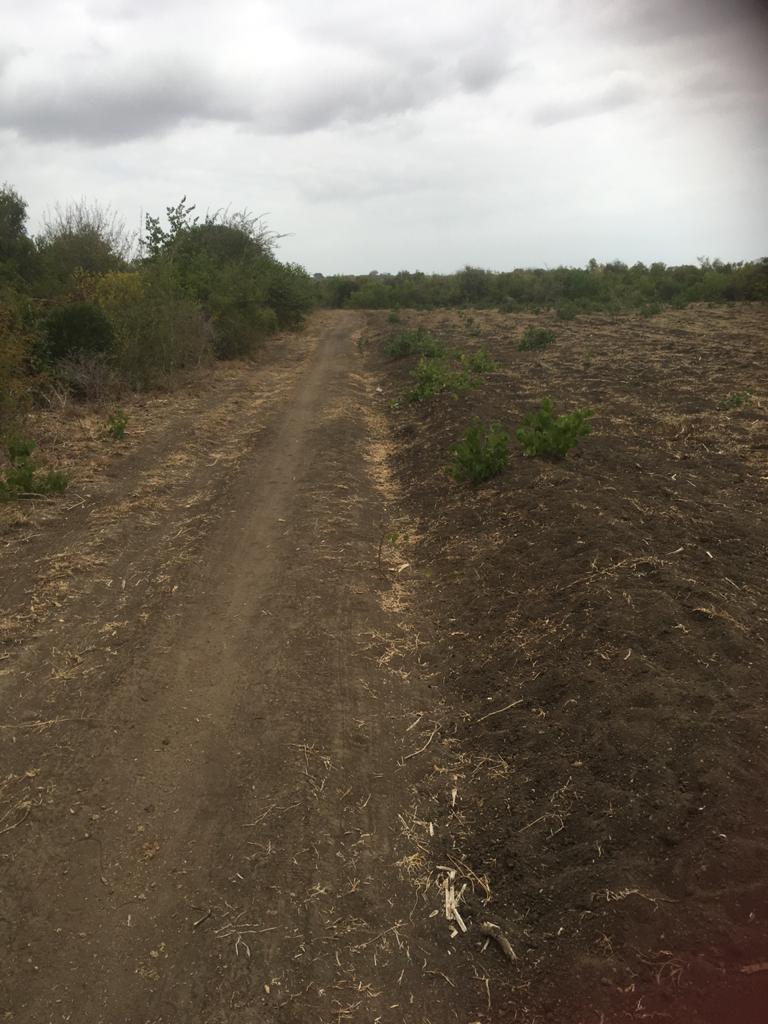 5 Acres for sale in Marereni