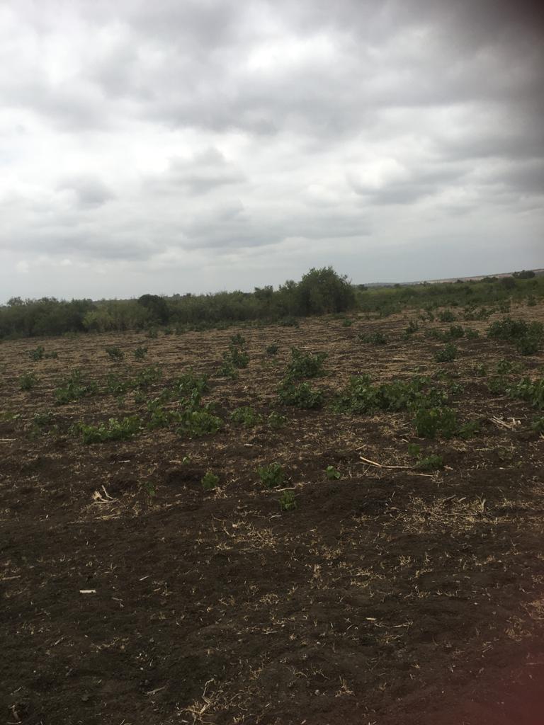 5 Acres for sale in Marereni